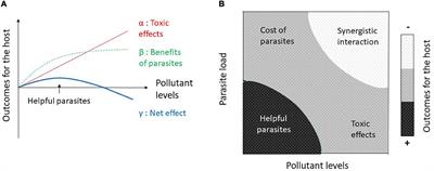 Benefits of Parasitism in Polluted Environments: A Review and Perspectives